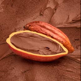 Tropicatto Chocolate